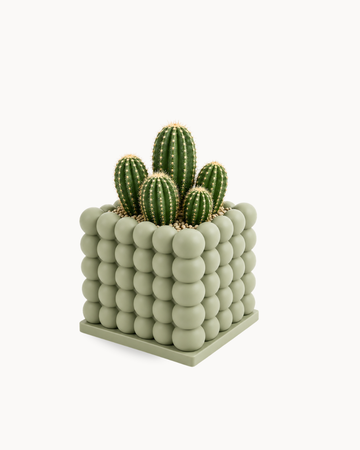 Bubble Cube Vase
